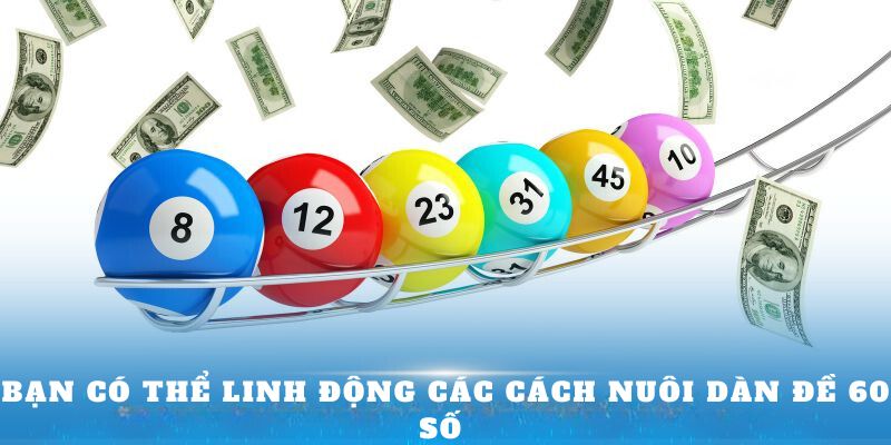 Bạn có thể linh động các cách nuôi dàn đề 60 số 