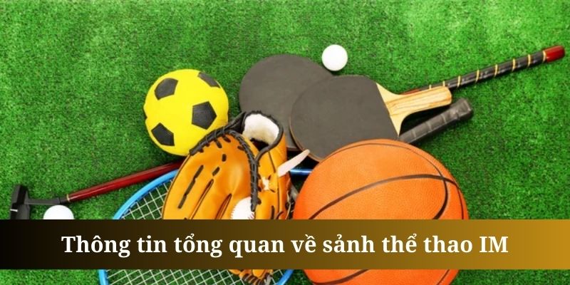 Thể thao IM là sảnh cược được 888B đầu tư tâm huyết